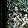 Mineral Species