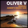 Seagull / Ambers Rising Sun