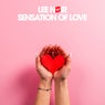 Sensation of Love