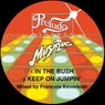 In the Bush / Keep On Jumpin' (Remix)