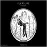 Pleasure (Extended Mix)
