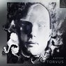 Torvus