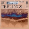 Feelings - Extended Remixes
