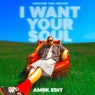 I Want Your Soul