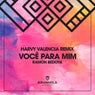 Você Para Mim (Harvy Valencia Remix)