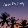 Cause I'm Crazy