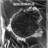Nexora