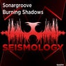 Burning Shadows