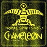 Tribal Spirits Volume 3