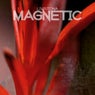 Magnetic