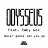Never Gonna Let You Go (feat. Ruby Goe)
