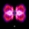 Merin, Vol. 5 - EP