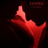 Tantra (Original Mix)