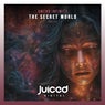 The Secret World