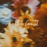 La Vida Carousel