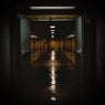 Dissociate