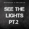 See The Lights part 2