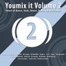 Youmixit Volume 2