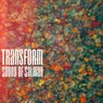 Transform