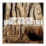 Small Axe Big Tree