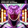 Analog Echoes - Extended Mix