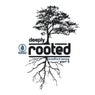 Deeply Rooted 2