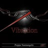 Vibration