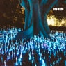 Tree Of Life