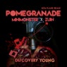 Pomegranade (Hollyland Remix)