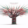 Baobab Beats