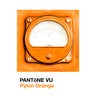 Pylon Orange