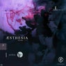 Aesthesia, Vol. 2