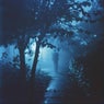 Fading Light