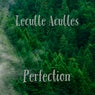 Perfection