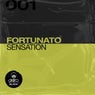 Sensation (Extended Mix)