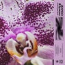 Orchid Design Studio