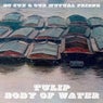 Tulip / Body Of Water EP