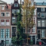 Window View