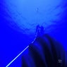 Deep Water