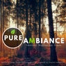 Pure Ambiance - Ambient Meditation Vibes