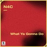 What Ya Gonna Do (Extended Mix)