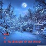 In The Midnight Of Hot Winter