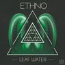 Leaf Water