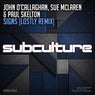 Signs (Lostly Remix)