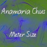 Meter Size