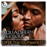 What The Soul Needs EP (feat. Craig)