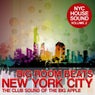 Big Room Beats in New York City, Vol. 2