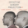 Effective Sensory Projection Ep #1