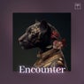 Encounter