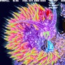 Hydrofall